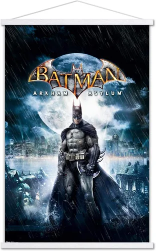 Vista 19 de Trends International DC Comics VIdeo Game - Arkham Asylum - Póster de pared de arte clave, 14.725 x 22.375 pulgadas, versión enmarcada de madera