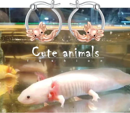 Vista 5 de Aretes de aro de plata de ley 925 con diseño de animales y naturaleza para mujeres, adolescentes, niñas, pequeños unicorniobúho, aretes de aro