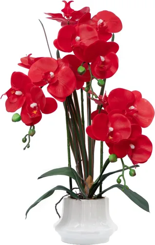 Vista 11 de CXGS Planta de orquídeas artificiales de 20.9 pulgadas, orquídeas artificiales de tacto real en jarrón de cerámica, arreglo floral de Phalaenopsis