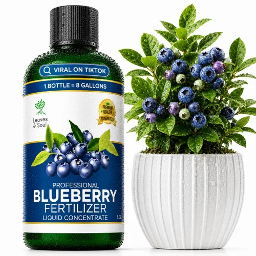 Vista 16 de Leaves & Soul Evergreen Tree Fertilizer, 6-4-6 Liquid Evergreen Food 8 oz Árbol de hoja perenne