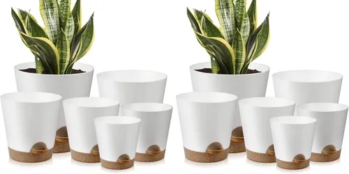 Vista 13 de YNNICO 7 piezas Macetas con Orificios de Drenaje y Platillos, Maceteros de Interior, Juego de 7 (7.5, 7, 6.5, 6, 5.5, 4.5, 3.5 Pulgadas), Blanco