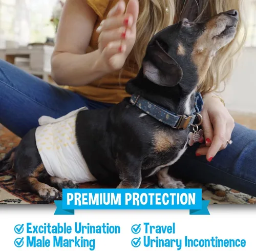 Vista 4 de Bodhi Dog Pañales desechables para perros machos, superabsorbentes, a prueba de fugas, ajuste ajustable, diseño cómodo, control avanzado de humedad