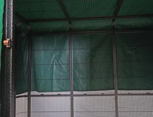 Vista 4 de SENY Funda nocturna impermeable para jaula grande de pajarera para aves. (Solo funda verde)
