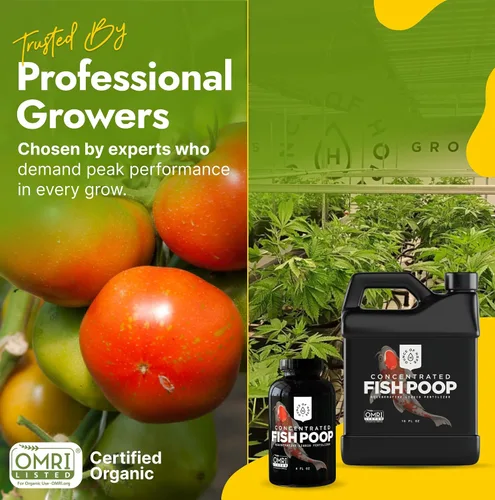 Vista 4 de Excremento de pescado concentrado orgánico con certificación OMRI - Fertilizante líquido para huertos de vegetales, alimento para plantas