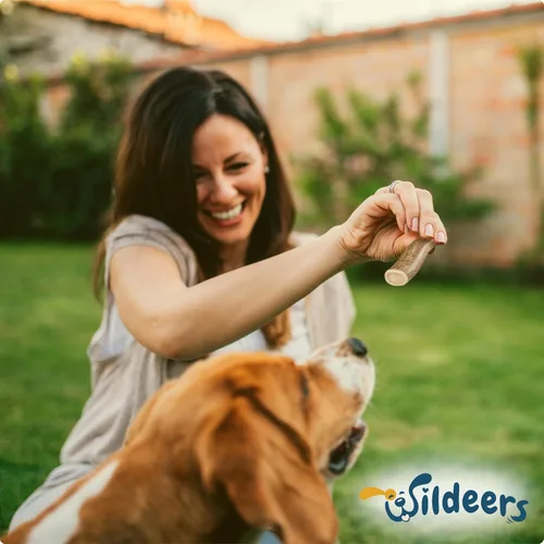 Vista 9 de Wildeers Cuernos de alce para perros pequeños, paquete de 3, ricos en minerales, masticables de hueso de cuernos de perro, fabricados en Estados