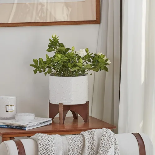 Vista 2 de LA JOLIE MUSE Macetas para plantas, maceta de cerámica de 8 pulgadas con soporte para plantas