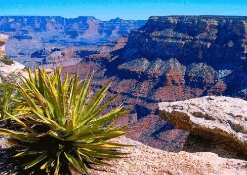 Vista 3 de Arizona-3D - Juego de postales lenticulares (3 unidades)