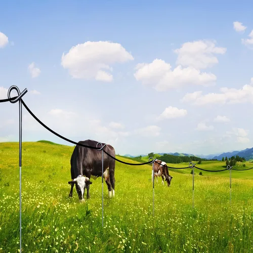 Vista 6 de ARIFARO - Paquete de 30 postes de valla escalonados de 41 pulgadas, poste de cercado eléctrico, cercado de metal para jardín para límites de pastos