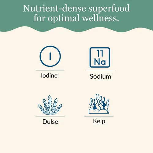 Vista 4 de Maine Coast Sea Vegetables Sal marina con coctelera de verduras marinas Condimento de algas marinas cosechadas en la naturaleza Mezcla orgánica