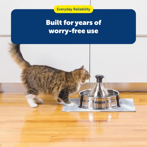 Vista 2 de Drinkwell 360 - Filtros de repuesto (3 unidades) Certified Fit for Stainless Multi-Pet and 360 Pet Fountains, 50% More Carbon, Replace Every 2-4