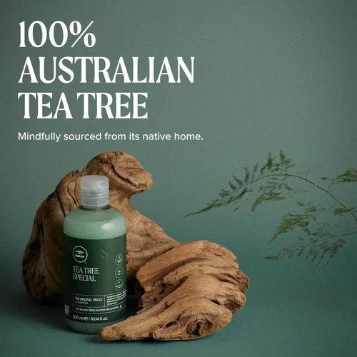Vista 4 de Champú especial de Tea Tree, Limpieza profunda, Refresca el cuero cabelludo, Para todo tipo de cabello, especialmente cabello graso