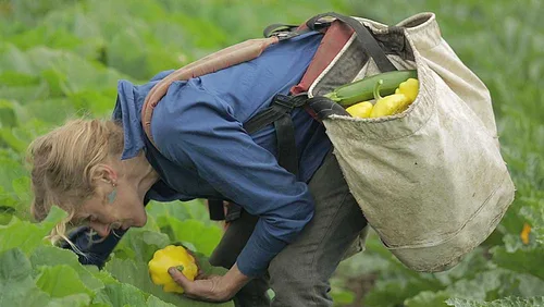 Vista 8 de The Market Gardener's Toolkit