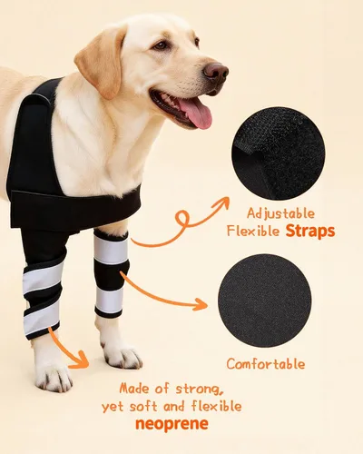 Vista 6 de Petanims Soporte de pierna delantera para perro, soporte de rodilla/carpalo/muñeca para perros, codo ajustable con soporte para el hombro, protector