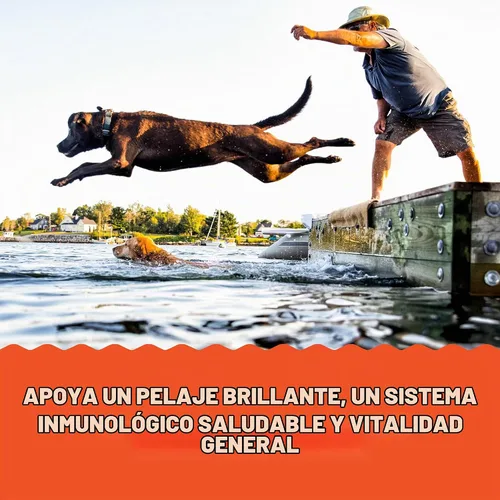 Vista 6 de Grizzly Pet Products Salmon Plus Omega 3-6-9 Suplemento alimenticio para perros y gatos, 32 onzas