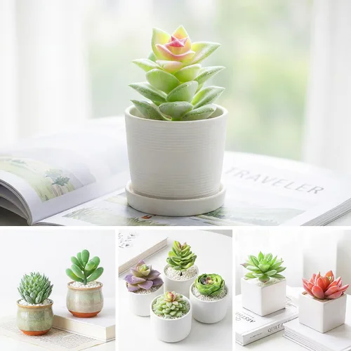 Vista 5 de HappyHapi 12 piezas de suculentas artificiales, mini plantas falsas sin maceta para manualidades, pequeñas suculentas de plástico surtido