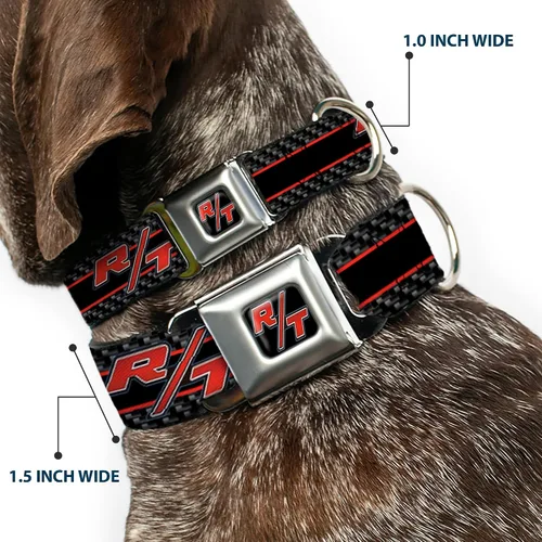 Vista 2 de Buckle-Down DC-WCL011-S CLL Dodge Challenger R/T Emblem Collar de perro a todo color negro/blanco/rojo, pequeño/9-15