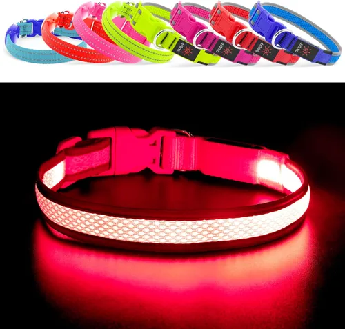 Vista 5 de YFbrite - Collar para perro con luz, collar de perro LED recargable por USB, luces súper brillantes para caminar por la noche, collar de perro