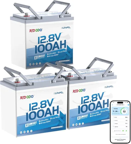 Vista 24 de Redodo - Batería de ciclos profundos LiFePO4 de 12 V y 100 Ah