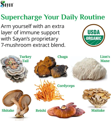 Vista 4 de Sayan 7 Extracto de hongos 90 cápsulas/440 mg ea – Apoyo inmunológico y energía – Chaga orgánico, Reishi, melena de león, maitake, shiitake, mezcla