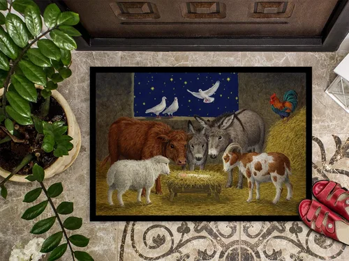 Vista 3 de Caroline's Treasures ASA2205JMAT - Felpudo de 24 x 36 pulgadas, tapete para puerta delantera, interior y exterior, antideslizante, lavable, pelo
