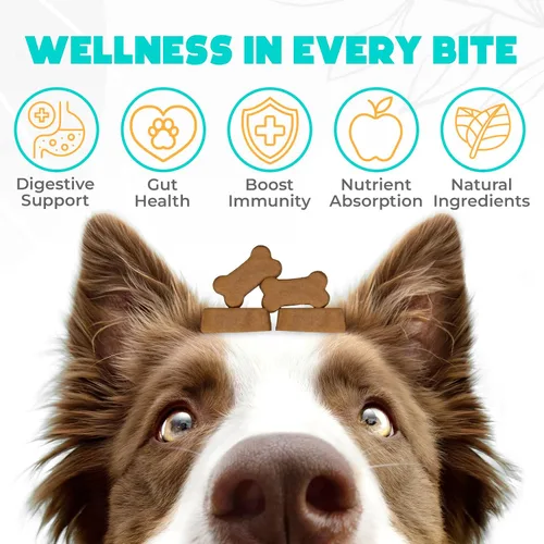 Vista 2 de Probióticos masticables para perros, 150 unidades, apoyo digestivo, para la salud intestinal y la diarrea, masticables probióticos para perros