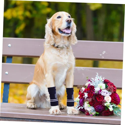 Vista 7 de 4 protectores de codo para mascotas, transpirables, de punto, calentadores de piernas para perros, mangas elásticas de apoyo