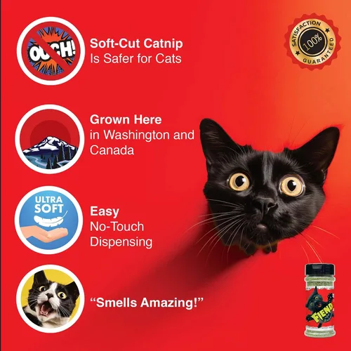 Vista 5 de Fiend Hierba gatera + Silvervine para gatos y gatitos - Coctelera manos libres – Mezcla de pezón fina de alta calidad para gatos de corte seguro