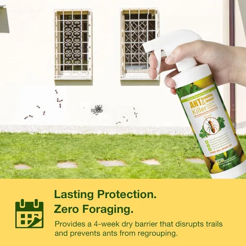 Vista 4 de EcoRaider insecticida y hormiguicida (aroma de cítricos) de 16 oz, natural y no tóxico