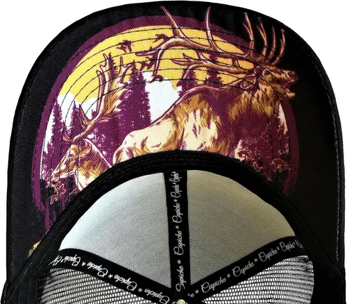 Vista 7 de Capiche - Gorra de visera plana de serie especial, talla única, unisex, hombre, más de 99 diseños