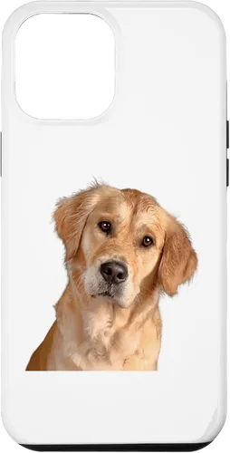 Vista 26 de American Golden Retriever Dog Sweet and Quizzical Case for iPhone 17
