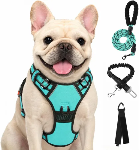 Vista 59 de FURRYFECTION - Arnés para perro a cuadros con correa y cinturón de Rosa