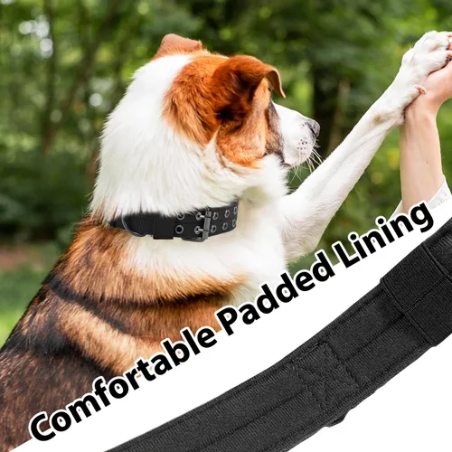 Vista 5 de Collar táctico para perro, collar militar ajustable para perro, collar de entrenamiento de nailon suave con parche, collares de hebilla de metal