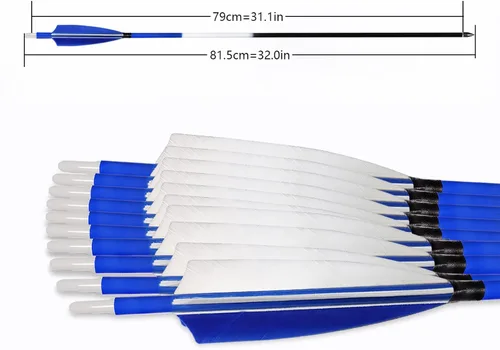 Vista 2 de 31Inch Carbon Arrows, Targeting Practice Hunting Arrow, Turkey Feather Fletching Arrow, with Removable Tips and nocks for Recurve & Compound Bow
