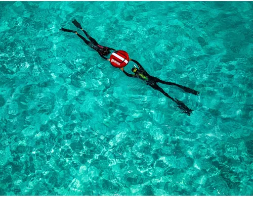Vista 2 de MARES X-Wing Short Freediving Fins Durable High-Performance Swimming Flippers for Freediving & Spearfishing