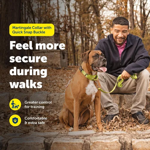 Vista 2 de Collar de la martingala de PetSafe Petite con hebilla rápida instantánea, Púrpura profundo