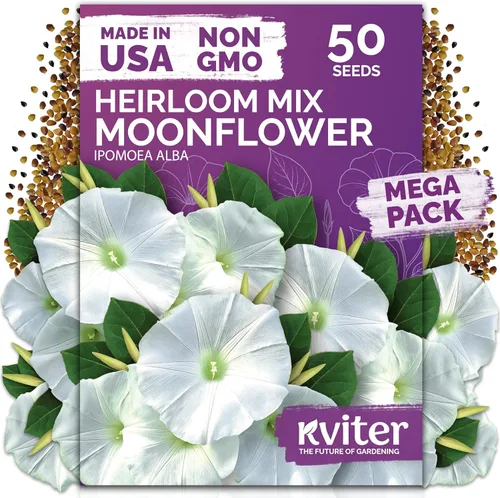 Vista 17 de KVITER 15,000 semillas de rosa musgo mixta para plantar (Portulaca grandiflora) – Cubierta de suelo con floración de reliquia, semilla de Portulaca