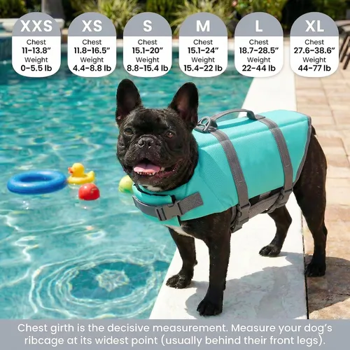 Vista 2 de Doglay Chaleco salvavidas para perros con asa de rescate, chaleco salvavidas para perros para nadar en barco, chaleco de natación reflectante Azul