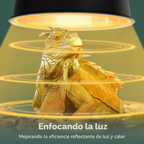 Vista 4 de Paquete de 2 lámparas de reptiles, lámpara de calor de reptiles de cúpula profunda de 8.5 pulgadas con interruptor, lámpara de terrario dual UVB