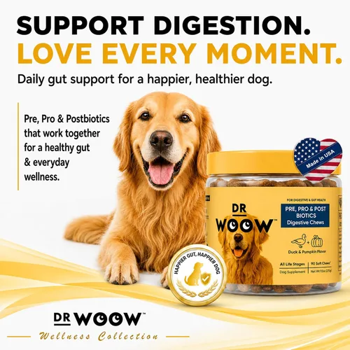 Vista 2 de Dr. Woow Probióticos para perros, apoyo digestivo, prebióticos y postbióticos, 90