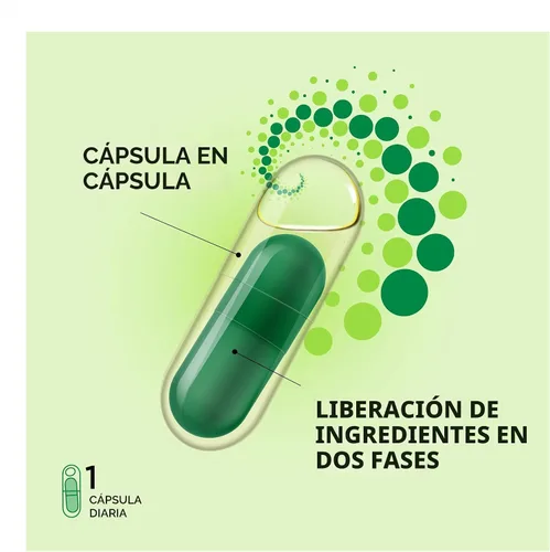 Vista 6 de ProCombo - El simbiótico inteligente con entrega dirigida de las buenas bacterias. Fórmula de cápsula doble y líquido para resultados rápidos. 1