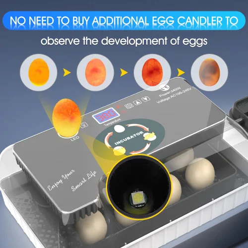 Vista 4 de 12 Incubadoras Automáticas de Huevos para Incubar Huevos con Control Inteligente de Temperatura, Volteador Automático, Ovoscopía LED para Huevos