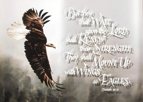 Vista 4 de Dicksons Placa decorativa de madera con texto en inglés "Wait Upon The Lord Renew Strength" Black Eagle (12 x 15 pulgadas)