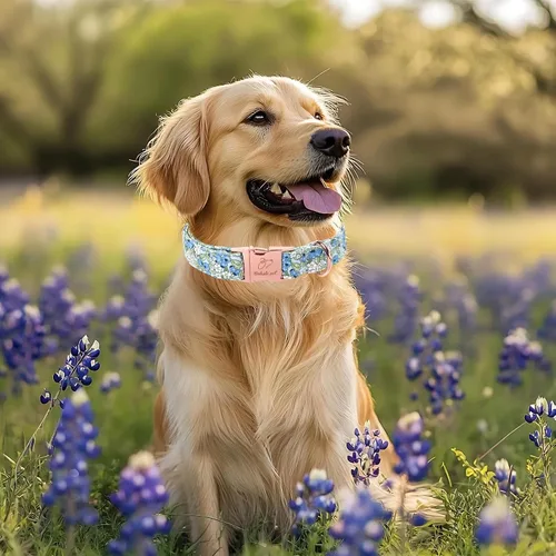 Vista 447 de Collar para perros del 4 de julio, collares patrióticos azules para cachorros y perros pequeños, ligero y ajustable 1776 collares para cachorros