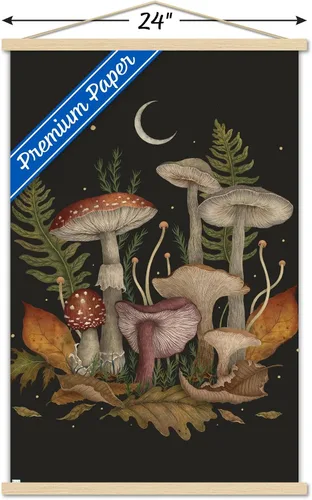 Vista 3 de Trends International Episodic Drawing - Autumn Mushrooms Wall Poster, 22.37" x 34.00", Premium Print and Beechwood Hanger Bundle