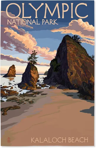 Vista 13 de Lantern Press Parque Nacional Olímpico, Washington, Grand Valley, alce, 8 x 12 pulgadas - Impresión artística para decoración de pared