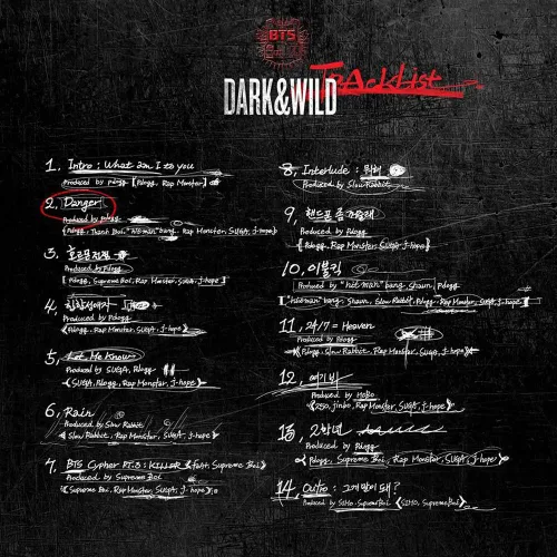 Vista 3 de BTS KPOP Bangtanboys 1st Album [DARK & WILD] Vol.1 CD + Photobook + Photocard
