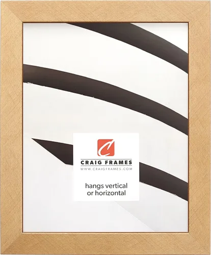 Vista 6 de Craig Frames Essentials, marco moderno de 1 pulgada, 19 x 25 pulgadas, color negro 646bk Negro
