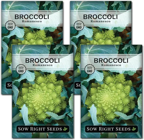 Vista 9 de Sow Right Seeds - Semillas de brócoli Romanesco para plantar - Paquete de reliquia sin OMG con instrucciones para plantar un huerto doméstico al
