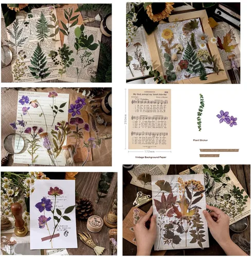 Vista 7 de Maxleaf Calcomanías de la Serie Botánica, 80 Calcomanías Grandes de Flores Secas Impermeables Transparentes, Calcomanías Florales de Plantas