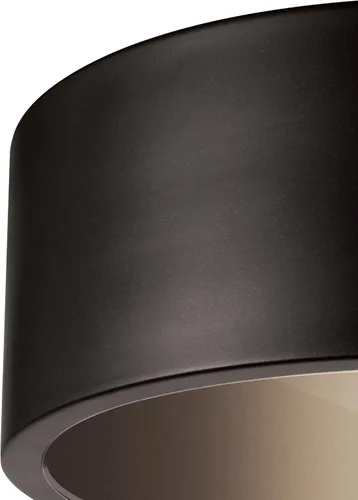 Vista 6 de Globe Electric 44479 Teagan 1-Luz Lámpara de Techo de Montaje Empotrado Interior y Exterior, Bronce Oscuro, Pantalla de Vidrio Transparente